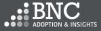 BNC Insight Logo